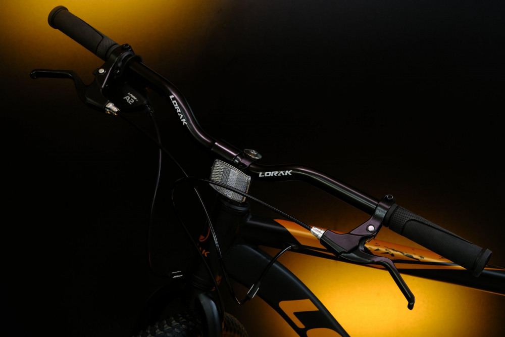 LORAK Safe Cross 29 Матовый Чёрный/Коричный