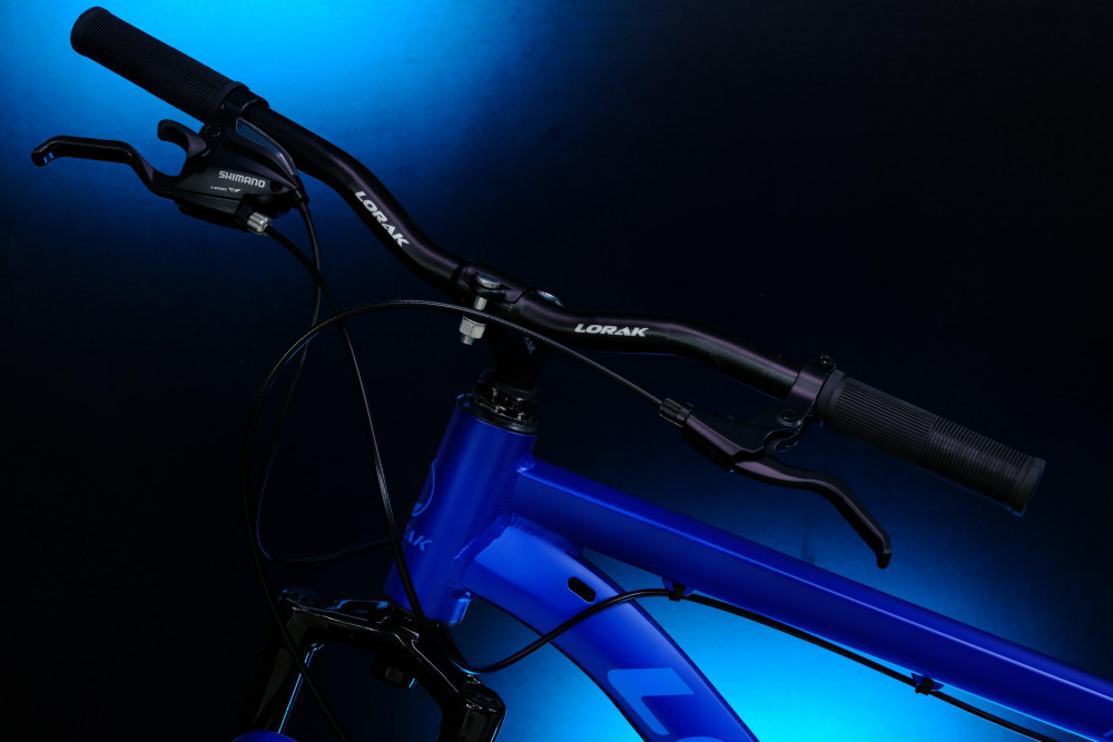 LORAK Fast Brown 26 Матовый Синий